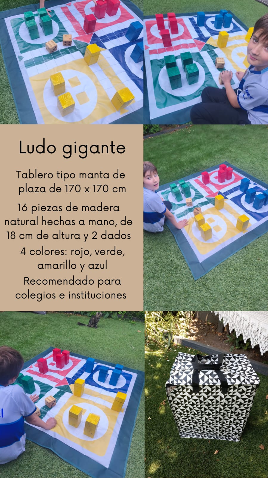 Pack Colegios 4 - Párvulos Básica y Media